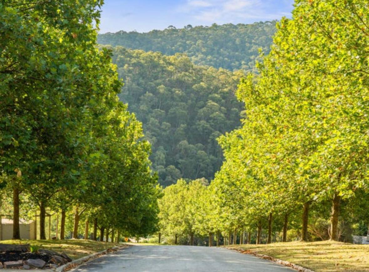 Mt Buller Stayz Мерріджіг Екстер'єр фото